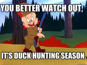 Duck shooting season